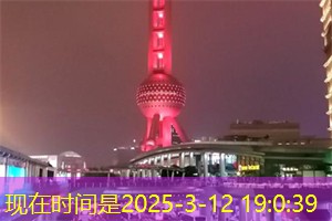 为千年古树建造公园 上海古树保护一树一方案