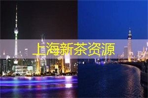 体验魔都的国潮夜生活文化